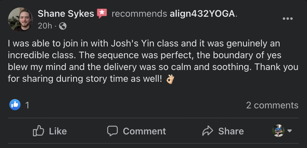 Shane Yin w Josh Review